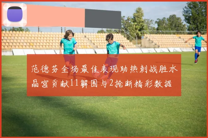 范德芬全场最佳表现助热刺战胜水晶宫贡献11解围与2抢断精彩数据