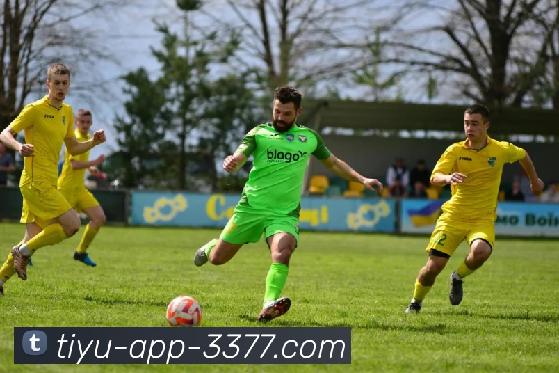 App Interface Preview