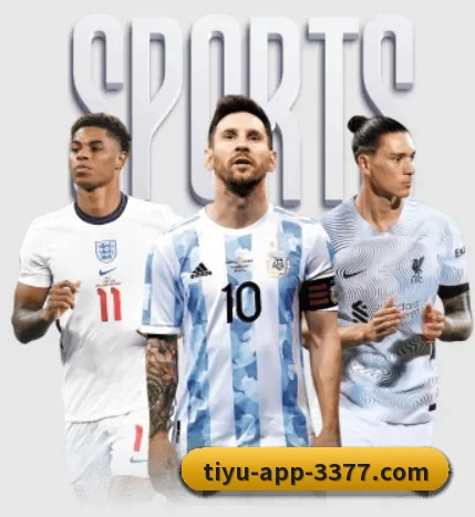 本站五个常用功能入口,赛程查询路径更短 | 3377Sports