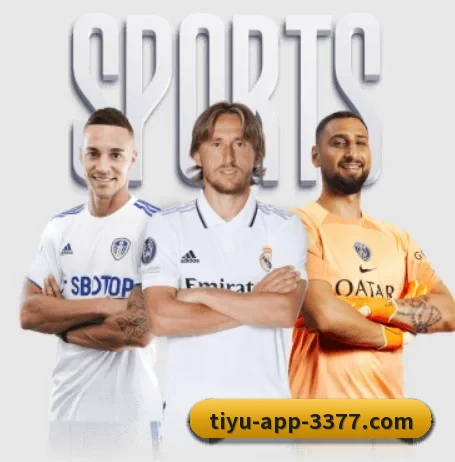 用内容积累长期价值 - 3377Sports